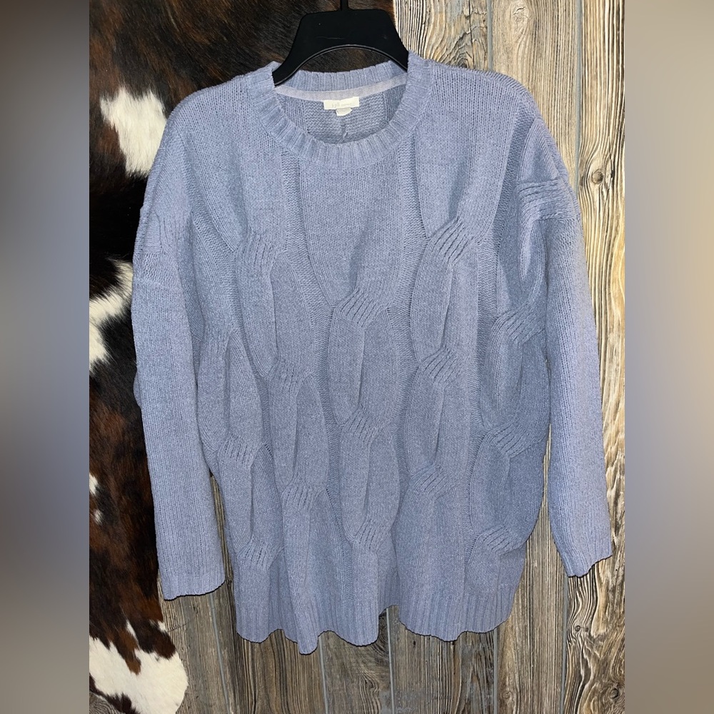 J.Jill Chenille baby blue sweater size small
